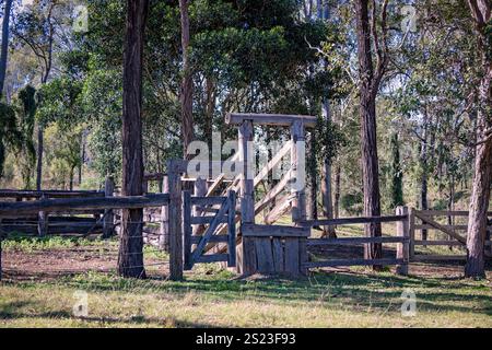 Ancienne chute d'élevage de bétail, paysage rural vieilli, élevage de vaches, Queensland, Australie Banque D'Images