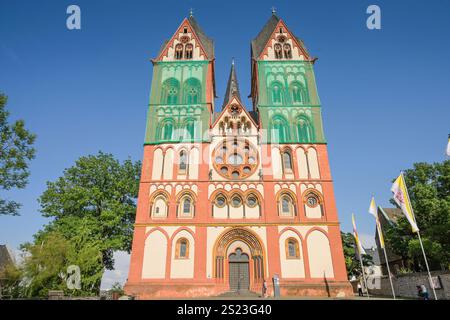 Westfassade mit Hauptportal, Dom ont créé Georg, Limburg an der Lahn, Landkreis Limburg-Weilburg, Hessen, Deutschland *** West façade with main Portal, ont créé Georges Cathedral, Limburg an der Lahn, district of Limburg Weilburg, Hesse, Allemagne Banque D'Images