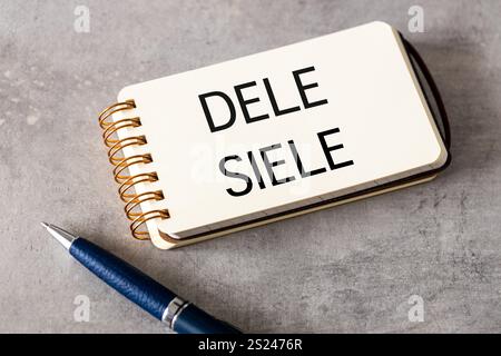 SIELE et DELE, examens internationaux et évaluation du niveau de langue espagnole. Mots écrits dans un cahier, symboles conceptuels, éducation et développement Banque D'Images