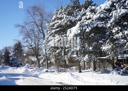 Rue résidentielle de banlieue par un matin ensoleillé après une grosse tempête de neige Banque D'Images