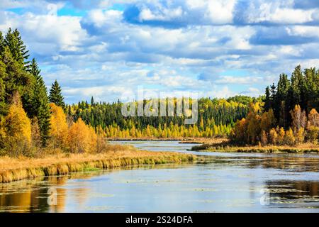 Un beau paysage serein avec une rivière qui le traverse. Les arbres sont pleins de feuilles et le ciel est nuageux. La scène est paisible et apaisante Banque D'Images