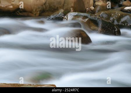 Une rivière à débit rapide se précipite sur des rochers lisses et rugueux, créant une scène aquatique dynamique. L'eau semble floue en raison d'une longue exposition. Situé dans Banque D'Images