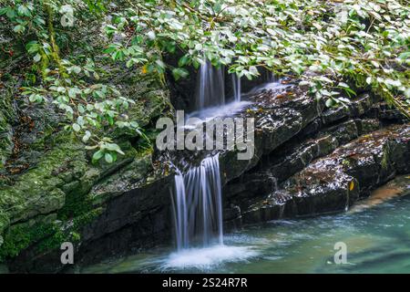 Une petite chute d'eau coule sur des rochers sombres dans une piscine claire, entourée d'un feuillage vert vibrant dans une forêt luxuriante. La scène évoque la tranquillité et n Banque D'Images