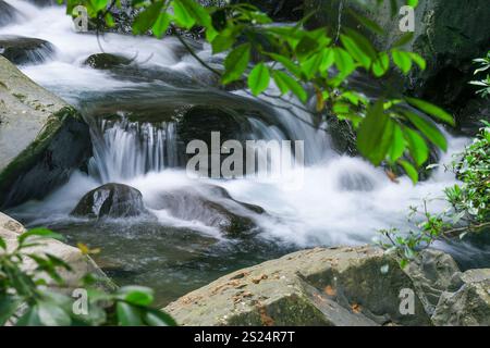 Une cascade sereine cascadant sur des rochers entourée de verdure luxuriante. L'eau cristalline coule doucement, créant une scène tranquille. District de Wulai, Nouveau Banque D'Images