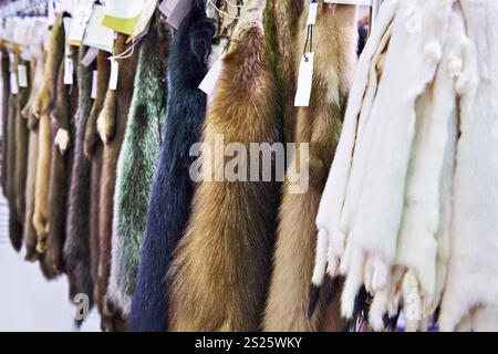 Échantillons de fourrure naturelle dans un magasin de vêtements Banque D'Images
