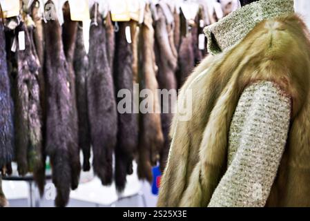 Échantillons de fourrure naturelle dans un magasin de vêtements Banque D'Images