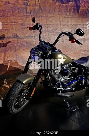 Johnny Hallyday, L'exposition, Paris, France, Europe Banque D'Images