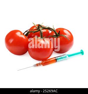 Concept d'OGM. Tomates fraîches et seringue isolées sur blanc Banque D'Images