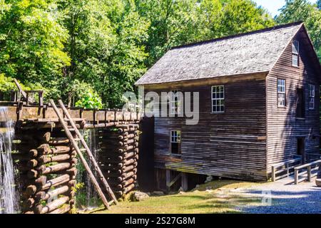 Une maison en bois avec une échelle en bois menant à elle. La maison est entourée d'arbres et a une cascade en arrière-plan Banque D'Images