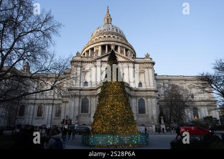 Arbres de Noël à l'extérieur de la cathédrale Saint-Paul, ville de londres, angleterre Banque D'Images