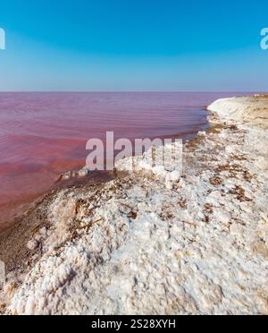 Syvash extrêmement salé Rose Lake, colorés par des microalgues avec dépôts de sel cristallin. Aussi connu sous le nom de mer putride ou pourris mer. L'Ukraine, Kherso Banque D'Images