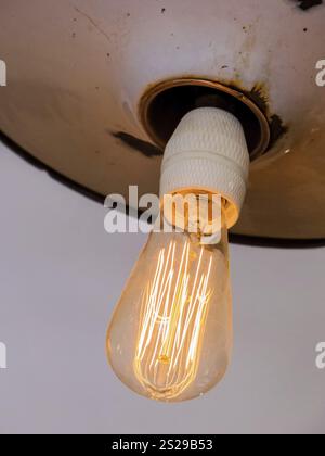 Lampe à économie d'énergie, photo symbolique pour l'économie d'énergie, l'écologie, la protection de l'environnement. Filament d'une lampe à incandescence Banque D'Images