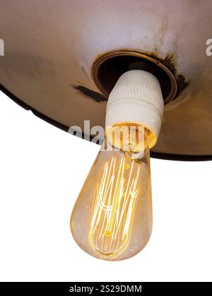 Lampe à économie d'énergie, photo symbolique pour l'économie d'énergie, l'écologie, la protection de l'environnement. Filament d'une ampoule à incandescence Autriche Banque D'Images