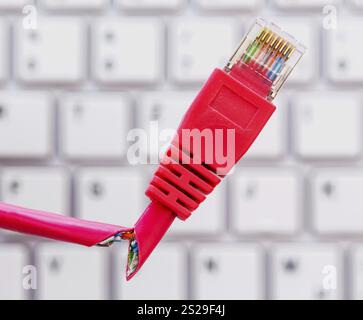 Câble réseau défectueux sur le clavier, photo symbolique pour en ligne, réseaux, interférences et espionnage Autriche Banque D'Images