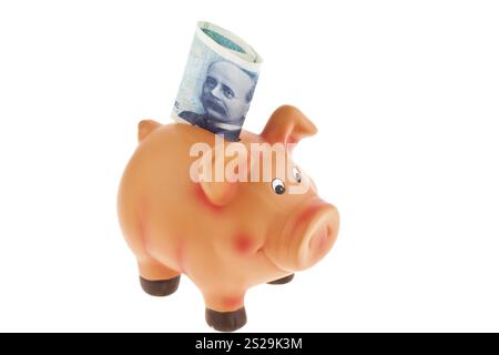 Couronne norvégienne. La monnaie de Norvège en Europe. Avec tirelire Autriche Banque D'Images