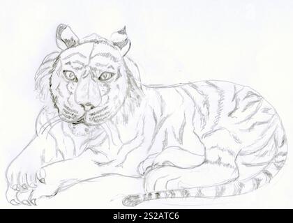 Dessin au crayon abstrait d'un tigre pondant. Idéal pour la faune et les projets de nature, art numérique, cartes de vœux, capture de dessin minimaliste Banque D'Images