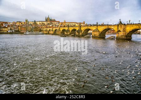 Emblématique pont Charles et château de Prague avec la Vltava et les mouettes un jour nuageux Banque D'Images
