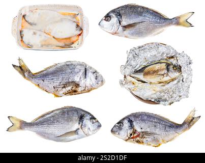 ensemble de divers poissons de dorade cuits et crus isolés sur fond blanc Banque D'Images