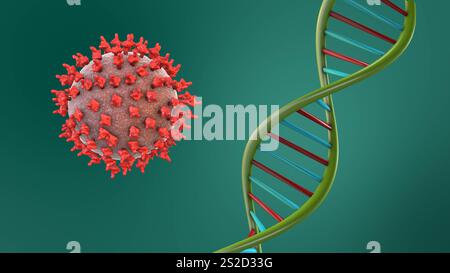 Structure de l'ADN et cellules virales HMPV Banque D'Images