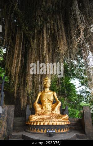 Gros plan d'une statue de Bouddha dorée, temple Vihara Ratanavana Arama, Lasem Rembang, Java central, Indonésie Banque D'Images