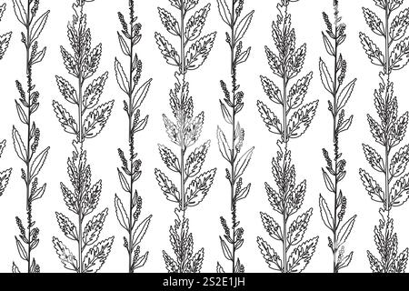 Illustration vectorielle de plantes et de fleurs botaniques en noir et blanc. Motif abstrait sans couture. Motif fleuri au trait répétitif. Graphisme pour Weddi Illustration de Vecteur