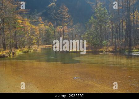 Kamikochi a une belle atmosphère, avec des montagnes, la faune et les ruisseaux, beau temps, en particulier pendant le feuillage d'automne, une partie des alpes japonaises. Banque D'Images