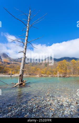 Kamikochi a une belle atmosphère, avec des montagnes, la faune et les ruisseaux, beau temps, en particulier pendant le feuillage d'automne, une partie des alpes japonaises. Banque D'Images