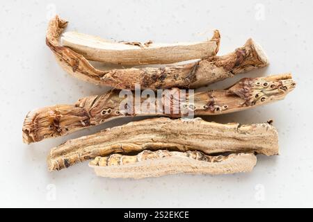 Des morceaux de racine de drapeau doux séché (calamus) se ferment sur l'assiette grise Banque D'Images