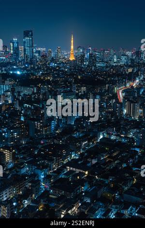 Vue nocturne de Tokyo et de la tour de Tokyo depuis le Sky lounge de la tour Ebisu Garden place à Shibuya-ku, Tokyo, Japon Banque D'Images