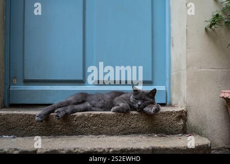 Un chat gris repose sur un seuil en pierre devant une porte en bois bleue en France. Banque D'Images