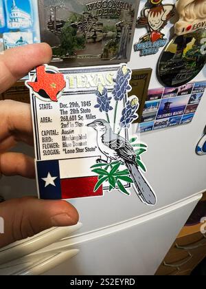 Kiev, Ukraine - 07 janvier 2025 : un aimant de réfrigérateur décoratif sur le thème du Texas mettant en vedette l'oiseau, la fleur, le drapeau et des faits. Les symboles incluent le Banque D'Images