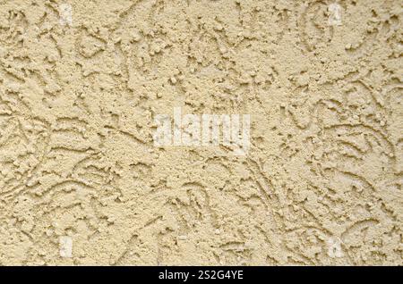 La texture du plâtre décoratif beige dans un style de scolytes. Fédération de variation de la décoration des murs de façade Banque D'Images