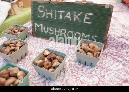 Légumes dans un marché de fermiers. Banque D'Images