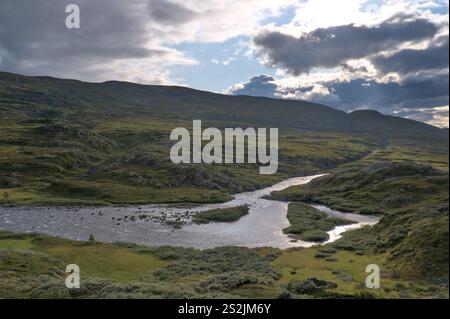Un paysage serein de la nature norvégienne avec des collines ondoyantes. Banque D'Images