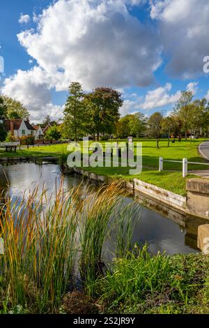 L'étang aux canards Blackmore Essex Banque D'Images