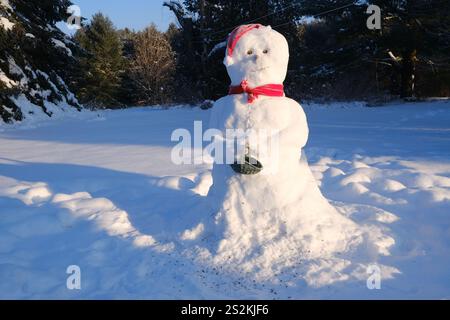 Un bonhomme de neige d'hiver par une journée froide et ensoleillée Banque D'Images