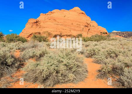 Une colline rocheuse avec quelques buissons et un chemin. Le ciel est bleu et le soleil brille Banque D'Images