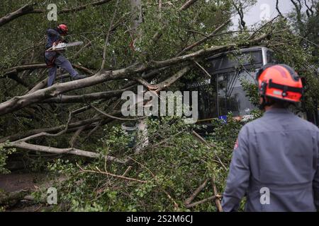 Sao Paulo, Brésil. 07 janvier 2025. SP - SAO PAULO - 07/01/2025 - SAO PAULO, ARBRES TOMBÉS - des soldats des pompiers de l'État de Sao Paulo sont vus enlever des arbres tombés sur les bus après que de fortes pluies ont frappé la région de Vila prudente, côté est, près de l'avenue Vila Ema, ce mardi (07). Photo : Ettore Chiereguini/AGIF crédit : AGIF/Alamy Live News Banque D'Images