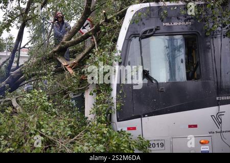 Sao Paulo, Brésil. 07 janvier 2025. SP - SAO PAULO - 07/01/2025 - SAO PAULO, ARBRES TOMBÉS - des soldats des pompiers de l'État de Sao Paulo sont vus enlever des arbres tombés sur les bus après que de fortes pluies ont frappé la région de Vila prudente, côté est, près de l'avenue Vila Ema, ce mardi (07). Photo : Ettore Chiereguini/AGIF crédit : AGIF/Alamy Live News Banque D'Images