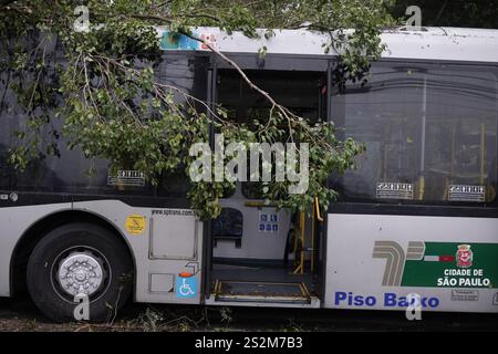 Sao Paulo, Brésil. 07 janvier 2025. SP - SAO PAULO - 07/01/2025 - SAO PAULO, ARBRES TOMBÉS - un bus est vu sous un arbre tombé après que de fortes pluies ont frappé la région de Vila prudente, côté est, près de l'avenue Vila Ema, ce mardi (07). Photo : Ettore Chiereguini/AGIF crédit : AGIF/Alamy Live News Banque D'Images