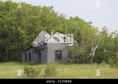 maison de ferme rurale rustique abandonnée s'effondrant en elle-même alors que les arbres la envahissent Banque D'Images