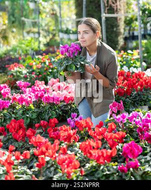 Client féminin choisissant cyclamen en pot dans le magasin de jardin de récipient Banque D'Images