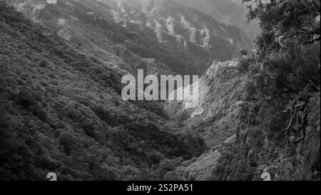 Une image en noir et blanc d'une vallée profonde couverte d'une végétation dense, entourée de montagnes escarpées et éclairée par une lumière douce, créant un dramati Banque D'Images