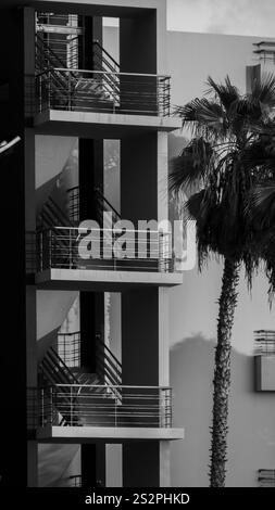 Un détail architectural en noir et blanc d'un bâtiment moderne avec des balcons et un grand palmier au premier plan, créant un mélange d'urbain et naturel Banque D'Images