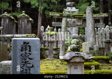 Cimetière de Koyasan au Japon. Tombes étonnantes, toriis et atmosphère. Arbres brumeux. Inspiration Ghibli Banque D'Images