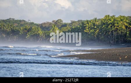 Paysage côtier, mer et plage de sable avec forêt tropicale, parc national du Corcovado, péninsule d'Osa, province de Puntarena, Costa Rica, Amérique centrale Banque D'Images