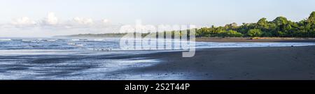 Paysage côtier, mer et plage de sable avec forêt tropicale, parc national du Corcovado, péninsule d'Osa, province de Puntarena, Costa Rica, Amérique centrale Banque D'Images