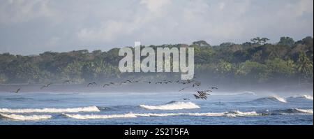 Paysage côtier, mer et plage de sable avec forêt tropicale, parc national du Corcovado, péninsule d'Osa, province de Puntarena, Costa Rica, Amérique centrale Banque D'Images