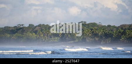 Paysage côtier, mer et plage de sable avec forêt tropicale, parc national du Corcovado, péninsule d'Osa, province de Puntarena, Costa Rica, Amérique centrale Banque D'Images