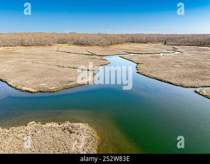 vue aérienne des zones humides en mer du nord Banque D'Images